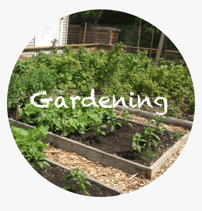 Yard, HD Png Download