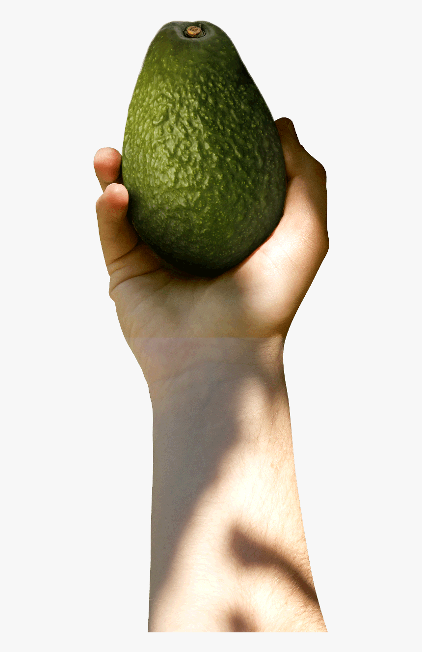 Avocado With Hand Png, Transparent Png