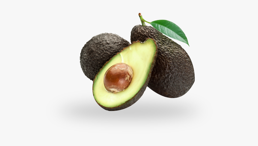 Avocados - Vitamins Are In Avocados, HD Png Download