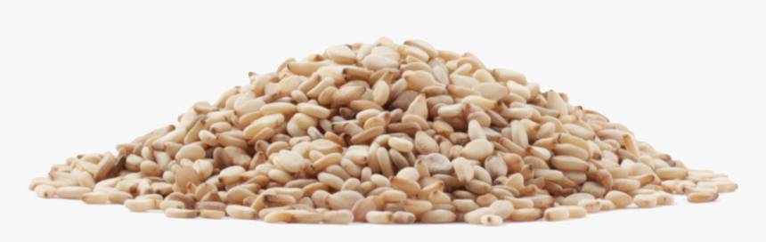Sesame Seeds Png Image - Transparent Sesame Seeds Png, Png Download
