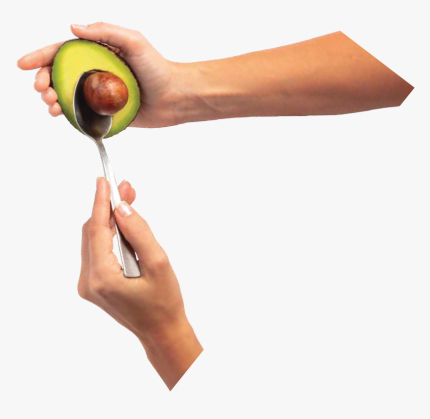 Avocado, HD Png Download