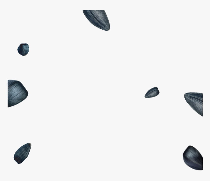 Transparent Sunflower Seeds Png - Mouse, Png Download