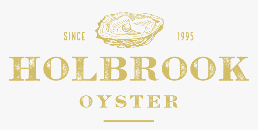 Holbrook Oyster Preview File - Calligraphy, HD Png Download