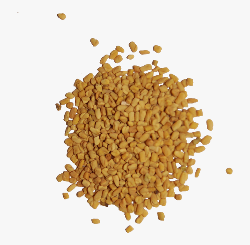 Fenugreek Seeds Png , Png Download - Transparent Fenugreek Png, Png Download