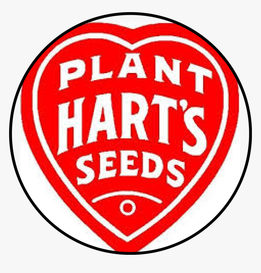 Horizon Observatory, HD Png Download