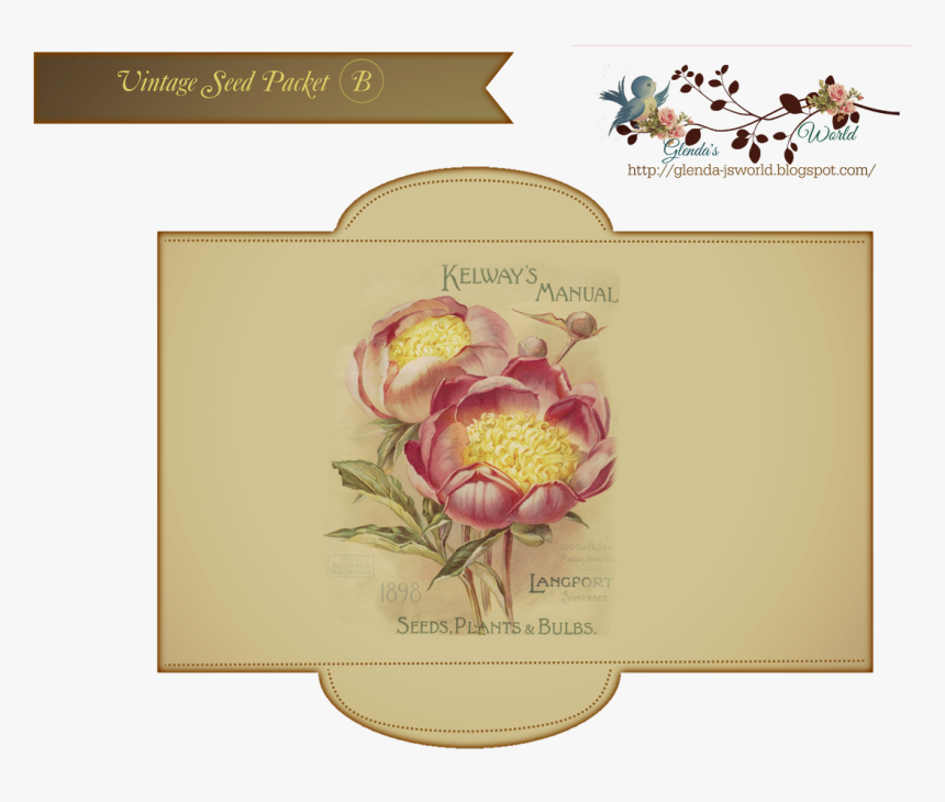 Protea, HD Png Download