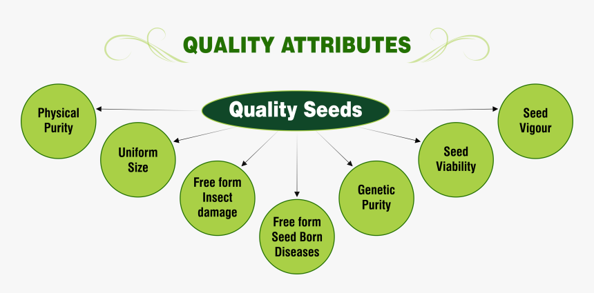 Quality Attributes - Png - Attributes Of Quality, Transparent Png
