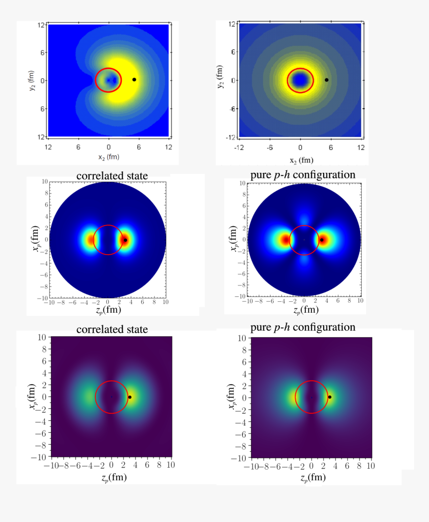 Circle, HD Png Download