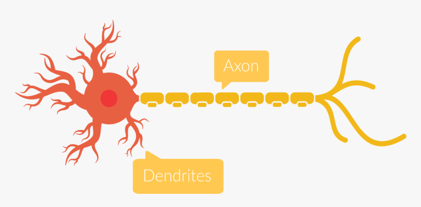 Transparent Neuron Png - Graphic Design, Png Download