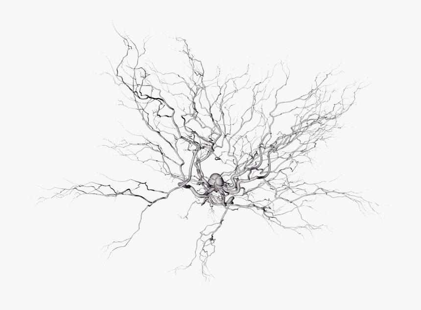Neural Network Electron Microscope, HD Png Download