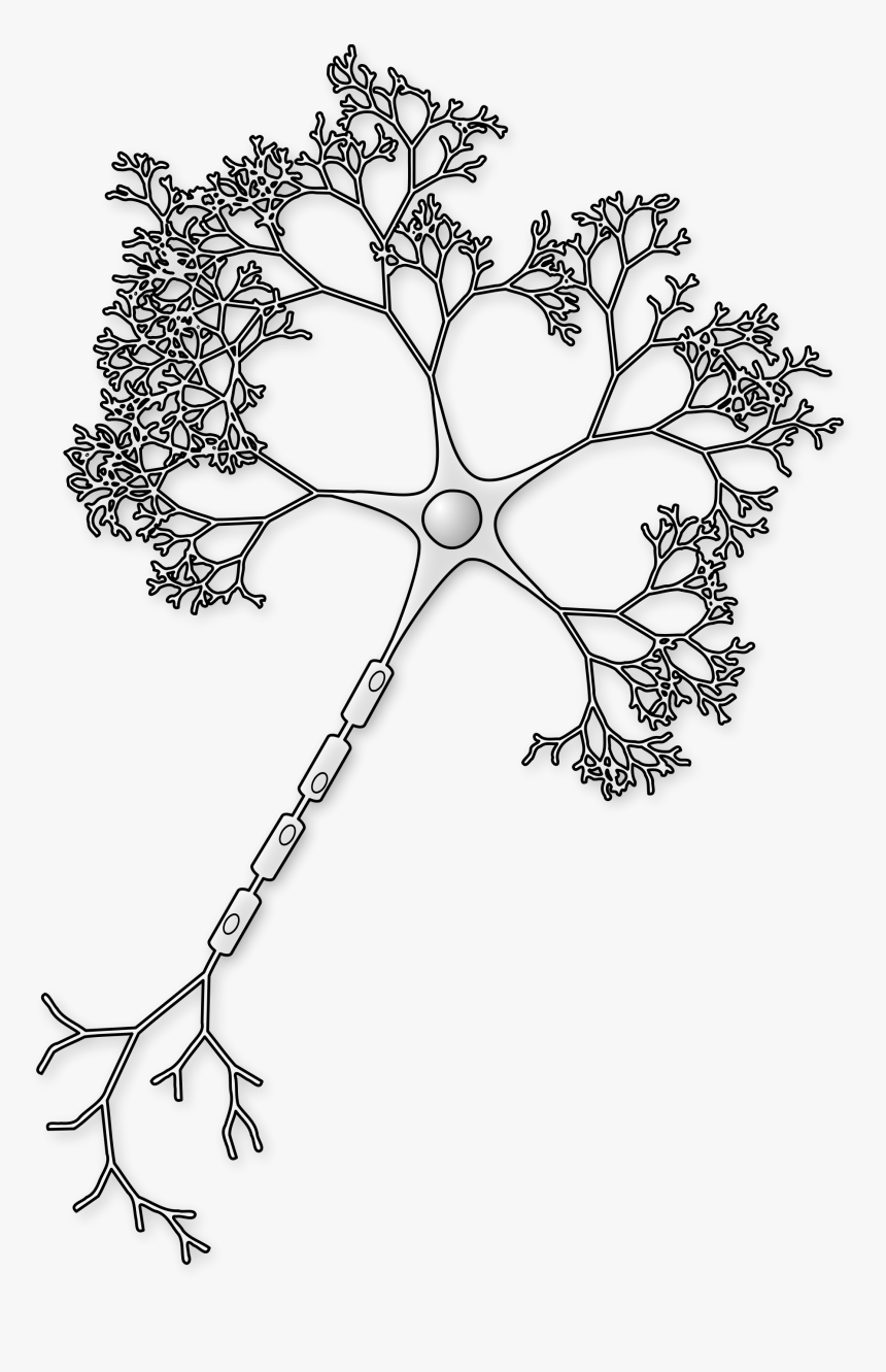 File Figure Notext Svg - Neuron Png, Transparent Png