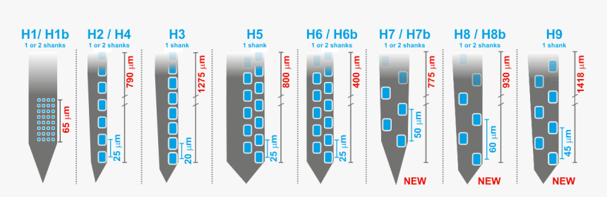 Advanced Neural Probes - Multi Unit Electrode Probe, HD Png Download