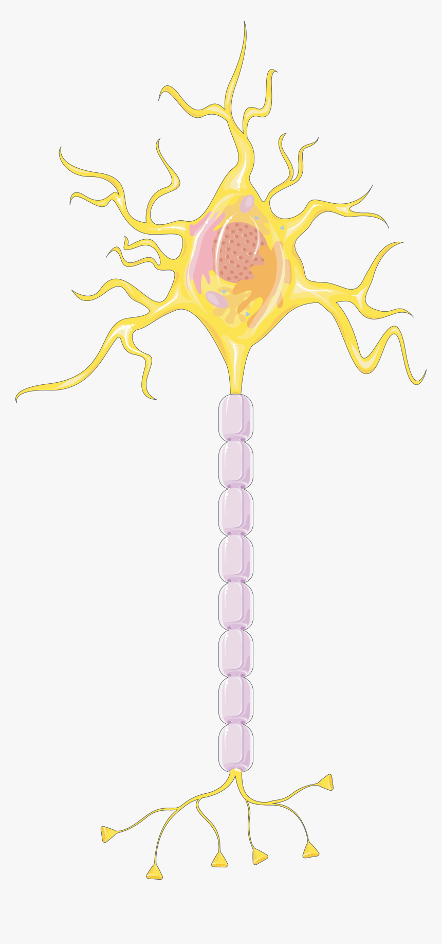 Illustration, HD Png Download