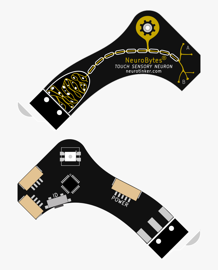 Clip Art, HD Png Download