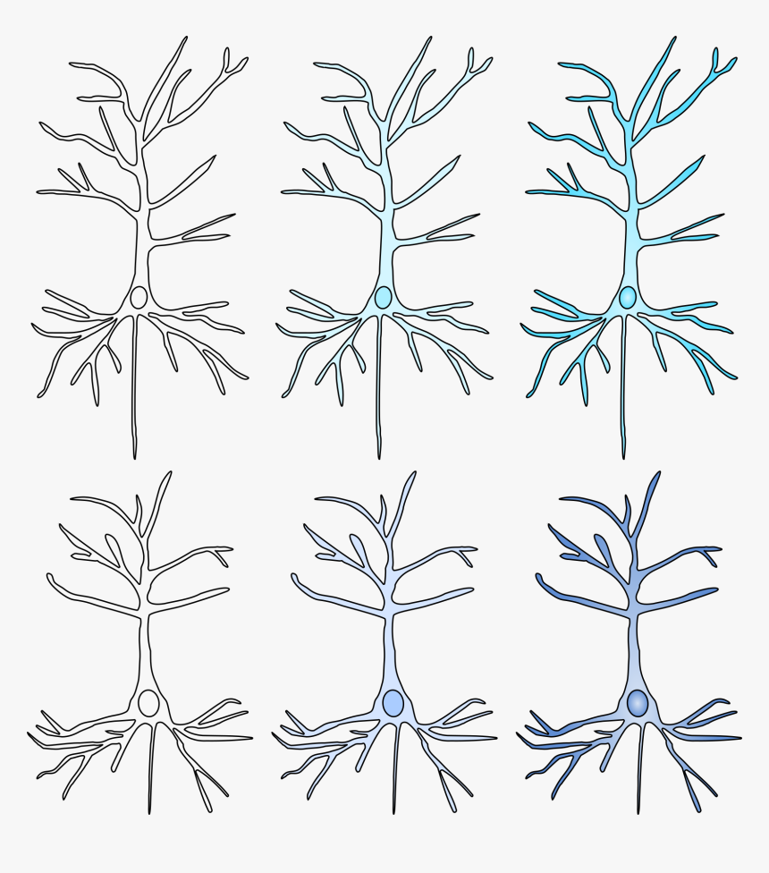 Line Art, HD Png Download