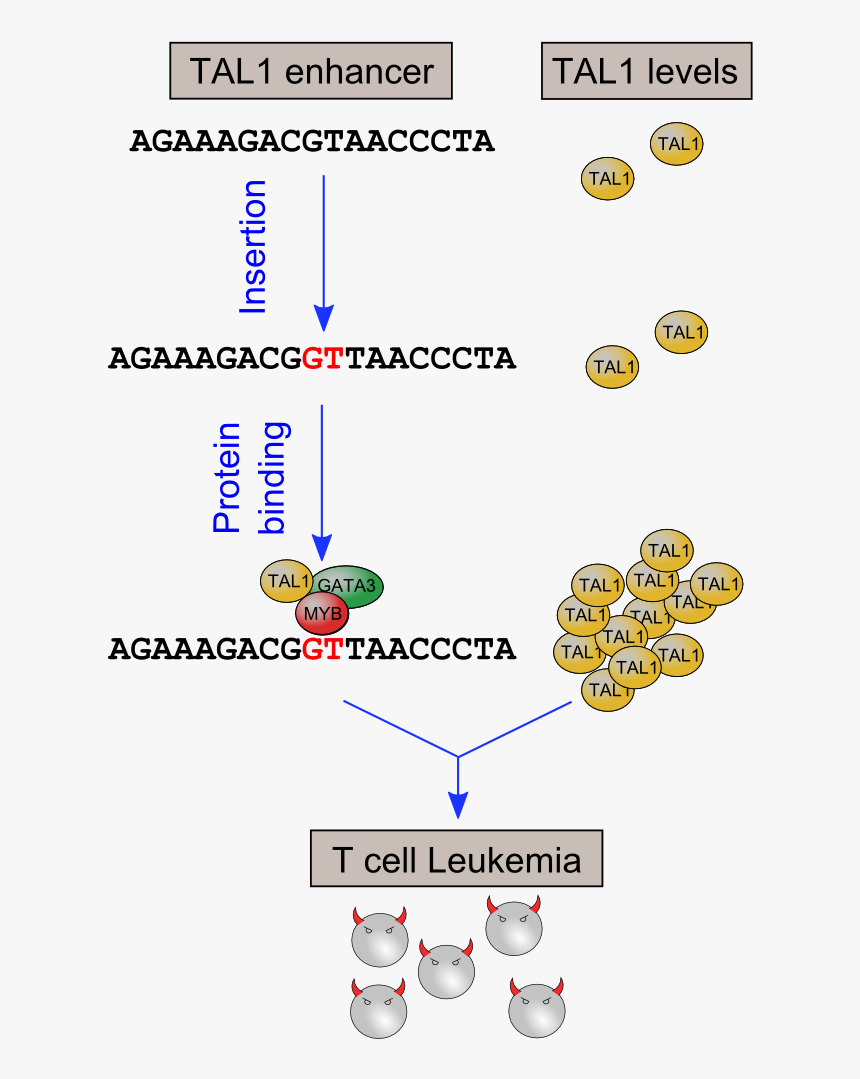 160321 Mute Summary - Snp, HD Png Download