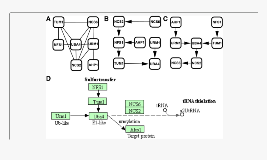 Diagram, HD Png Download