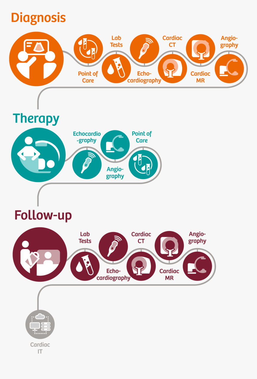 Pathway Pathway Pathway - Cardiology, HD Png Download
