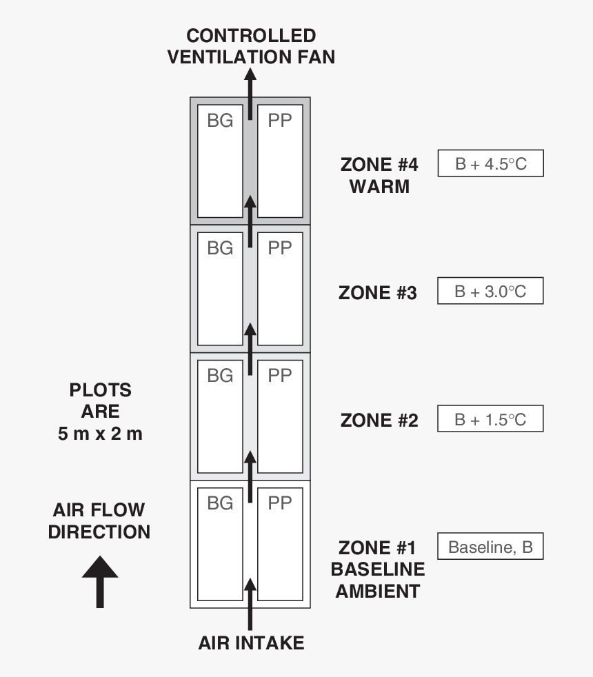 Diagram, HD Png Download