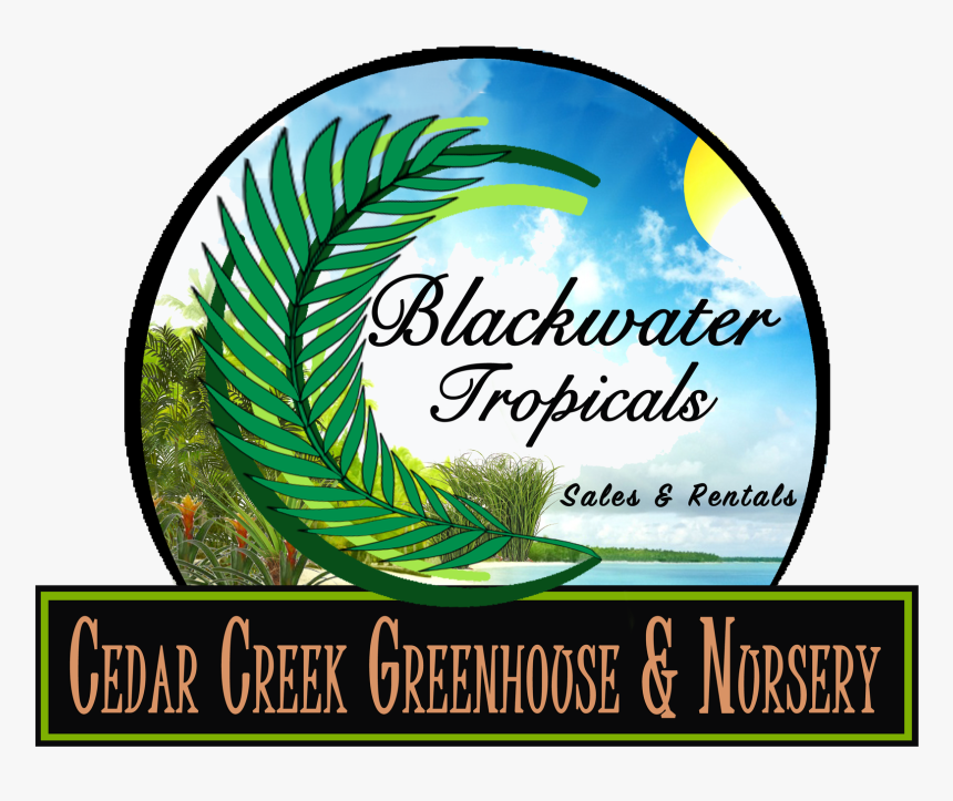 Graphic Design, HD Png Download