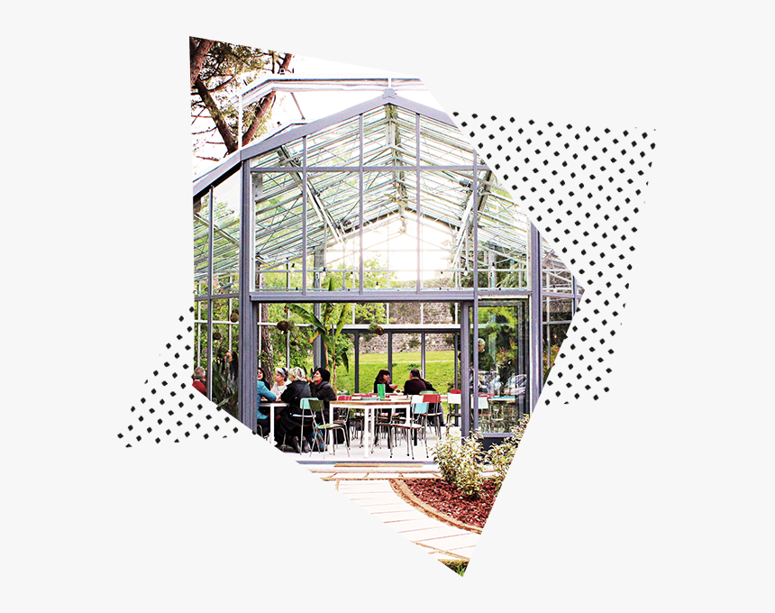 Australian Dollar Coin Png, Transparent Png