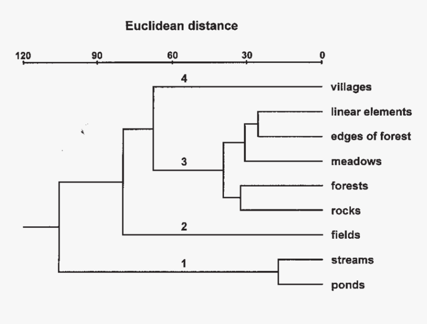 Diagram, HD Png Download
