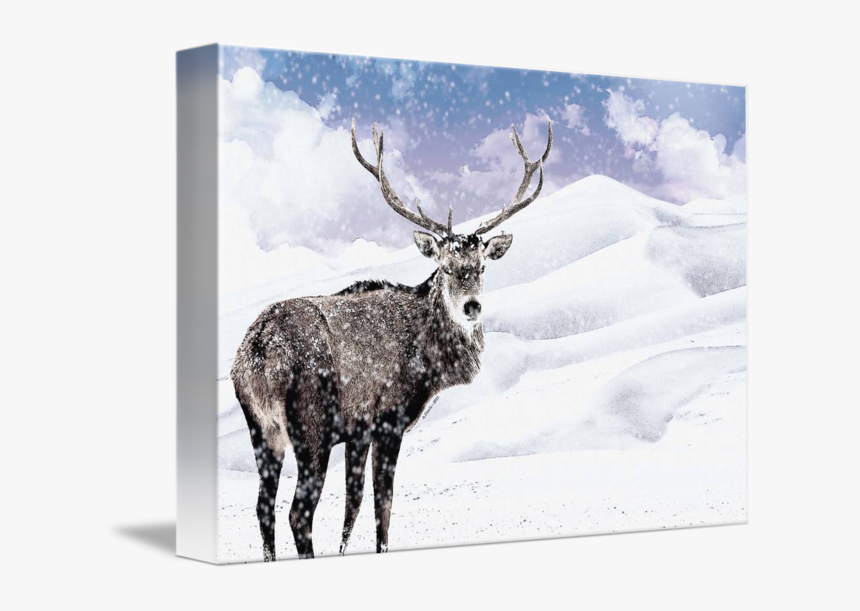 Stag During A - Antler, HD Png Download