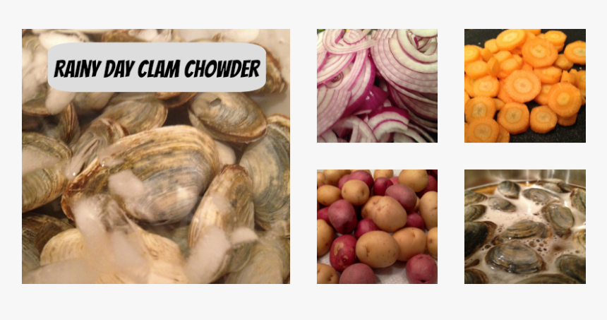 Clam Chowder - Shallot, HD Png Download