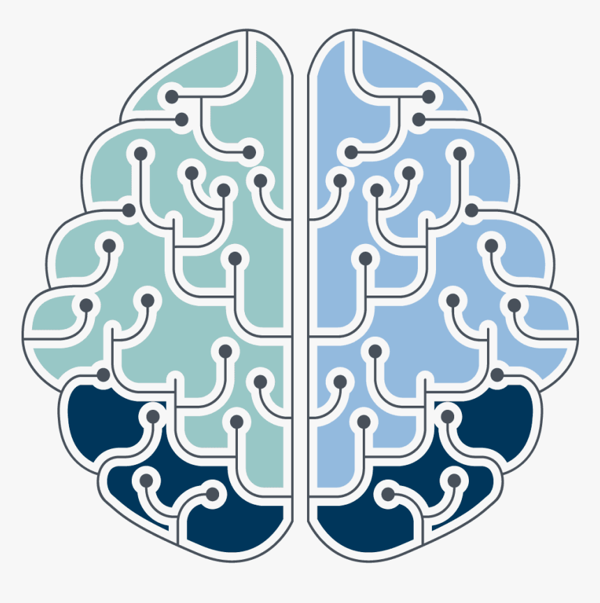 A Blue, Green And Dark Blue Brain Explaining The Wms - Illustration, HD Png Download
