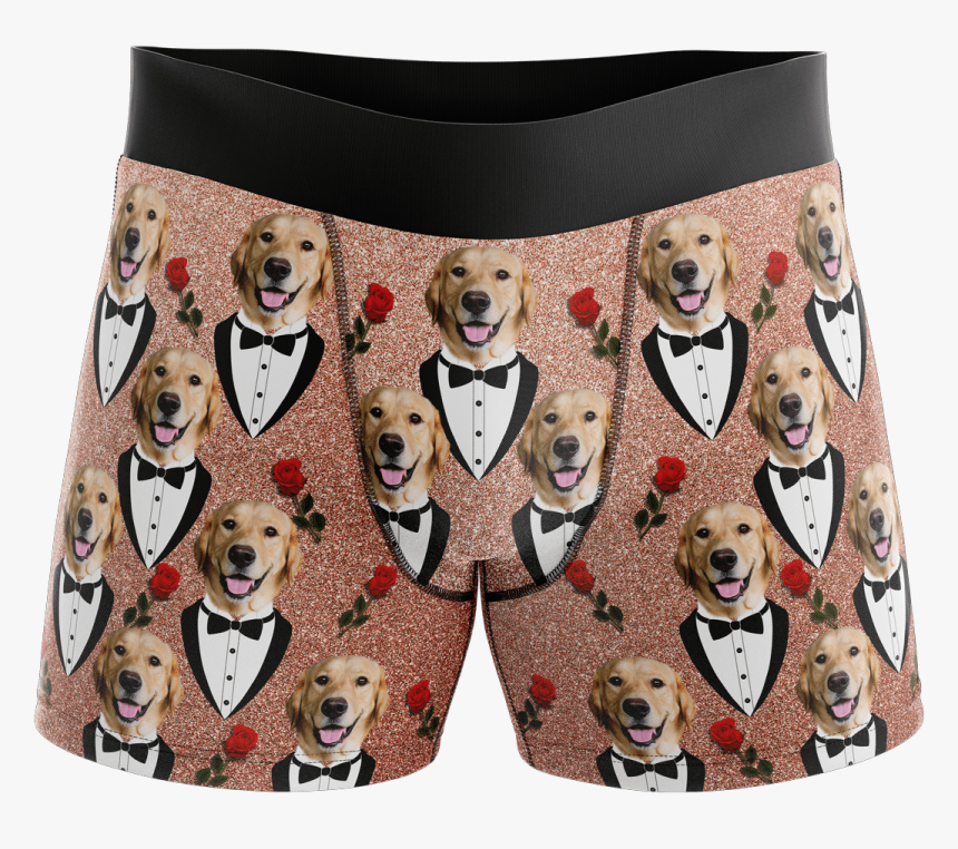 Put Your Face On Boxers - Shiba Inu Wearing Boxers, HD Png Download
