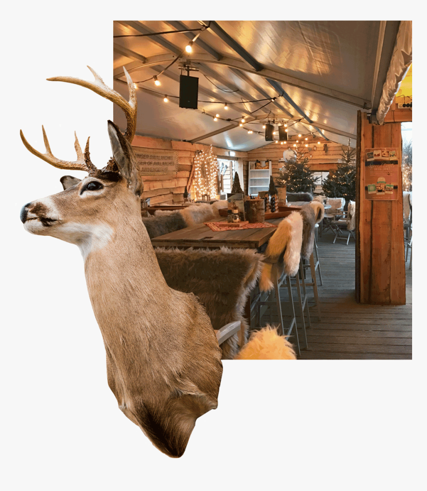 Elk, HD Png Download