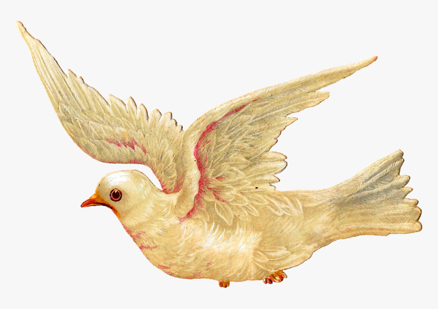 Religious Easter Clipart Interesting Inspiration - Vintage Bird Illustrations Flying, HD Png Download
