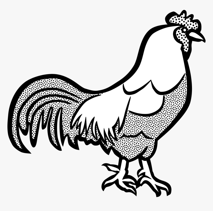 Clip Art Of Cock Black And White, HD Png Download