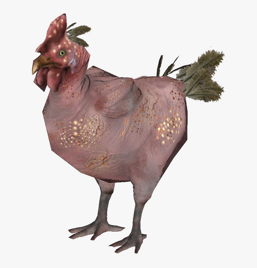 Rad Chicken, HD Png Download