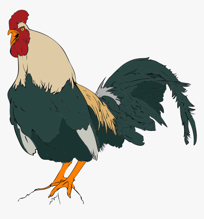 Transparent Comb Clipart - Animals And Birds Name In Arabic, HD Png Download