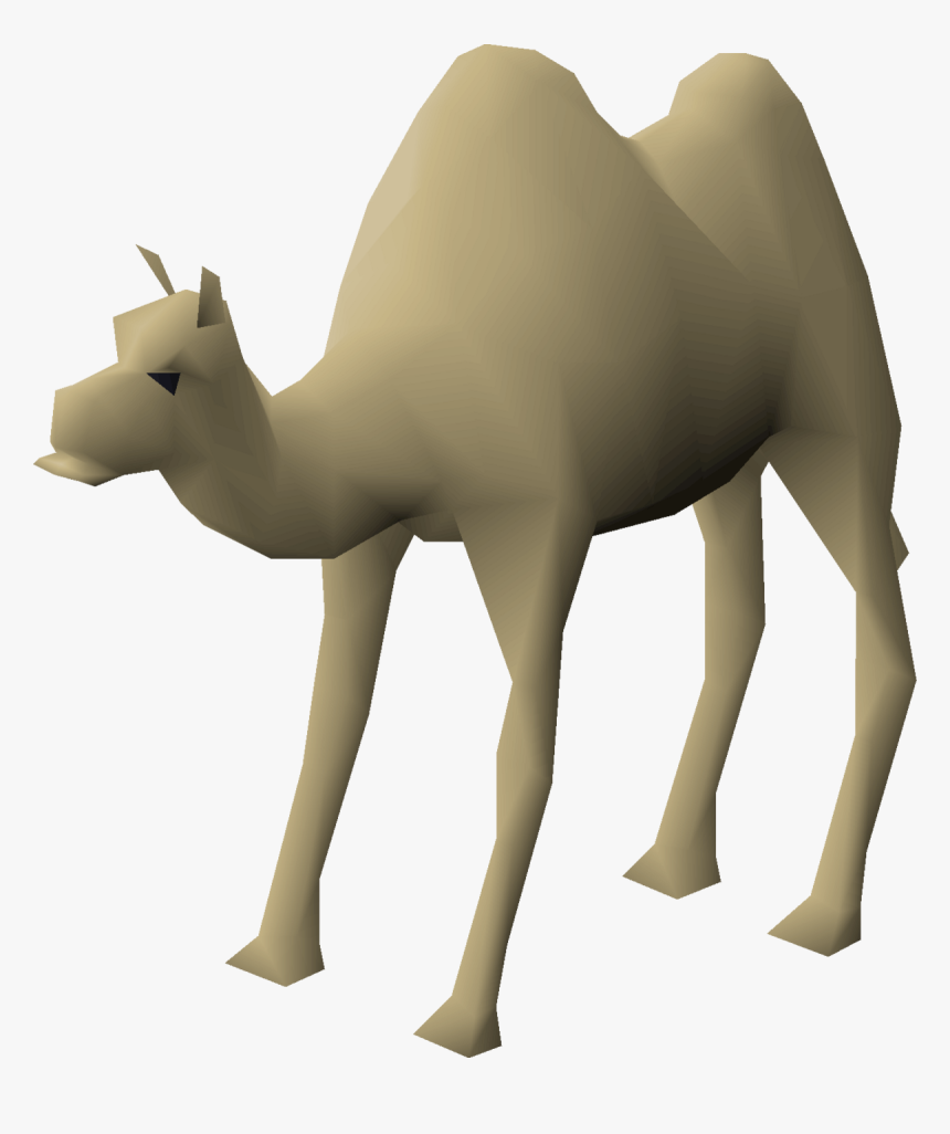 Arabian Camel, HD Png Download