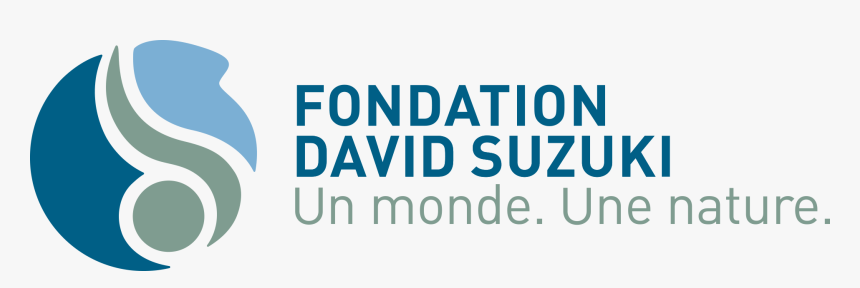 Transparent Suzuki Logo Png - David Suzuki Foundation Québec, Png Download