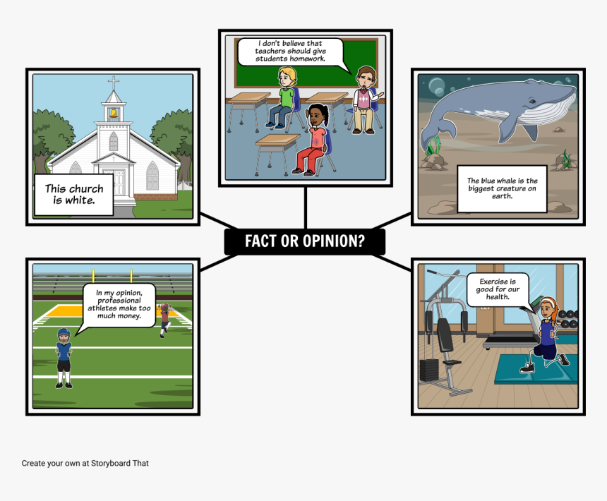 Storyboard About Fact And Opinion, HD Png Download