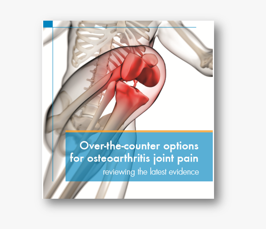 Gopo 1 - Imagen 3d De La Rodilla, HD Png Download