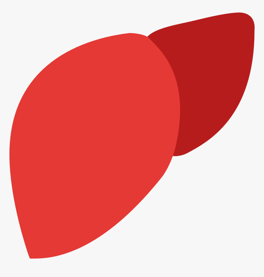 Facebook Icon Png Download - Liver With No Background, Transparent Png