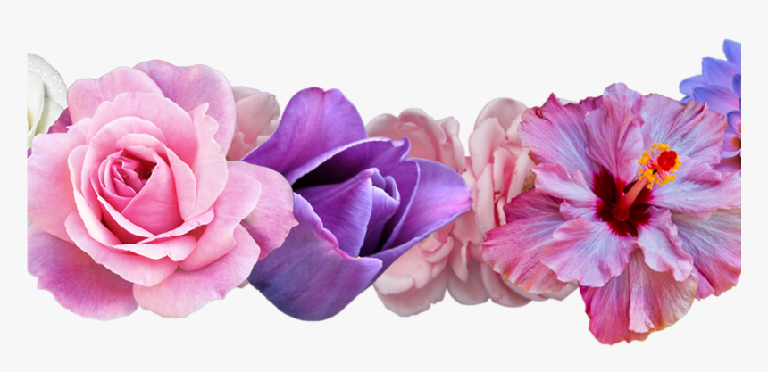 Daisy Flower Crown Tumblr Transparent Crazywidowinfo - Purple And Pink Flower Png, Png Download