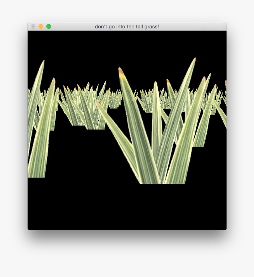 Grass, HD Png Download