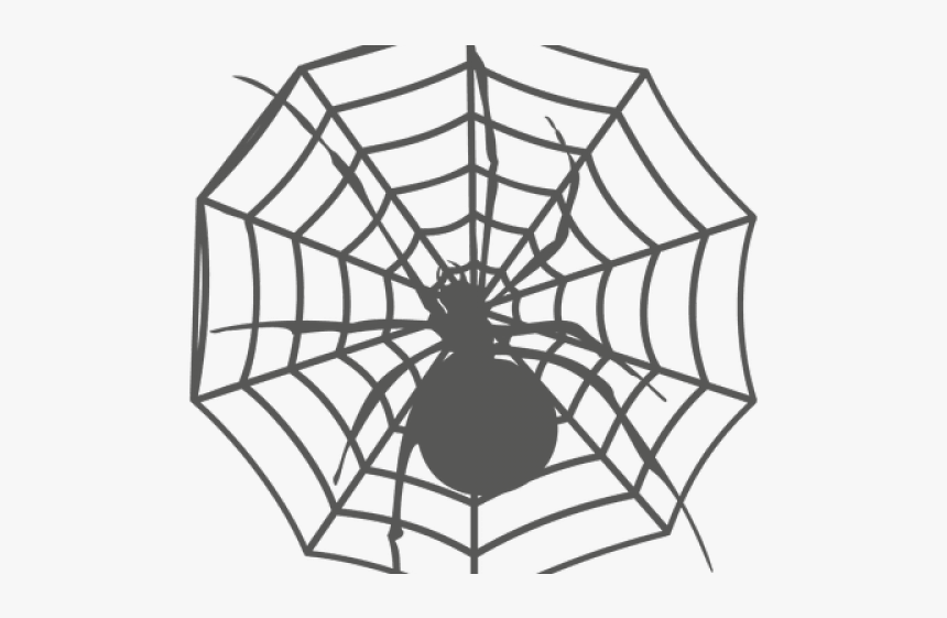 Drawn Spider Web Transparent - Spider Web Icon, HD Png Download