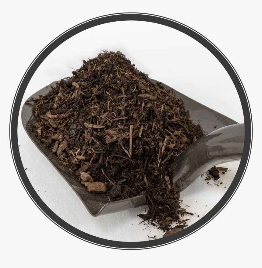 Gb Dark Pine Mulch - Pu-erh Tea, HD Png Download