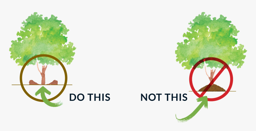 Graphic Design, HD Png Download