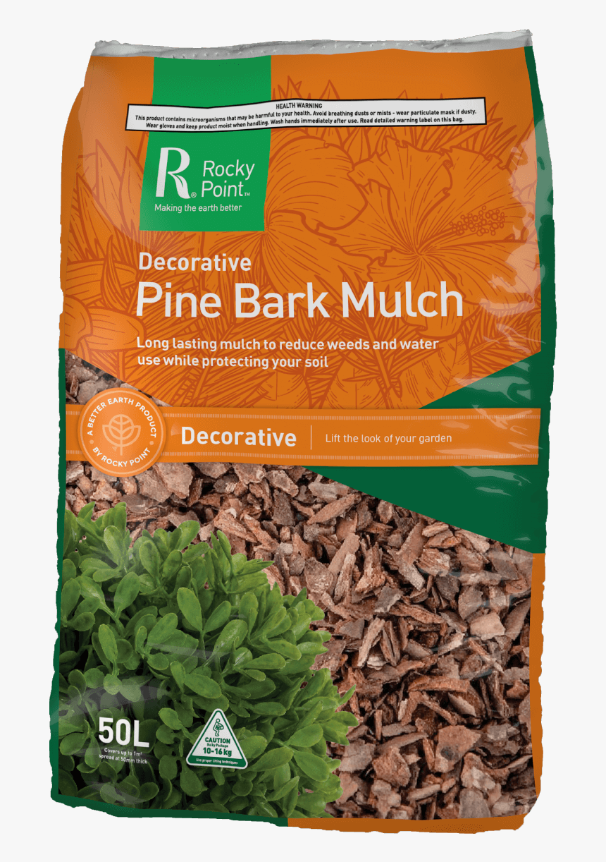 Seed, HD Png Download