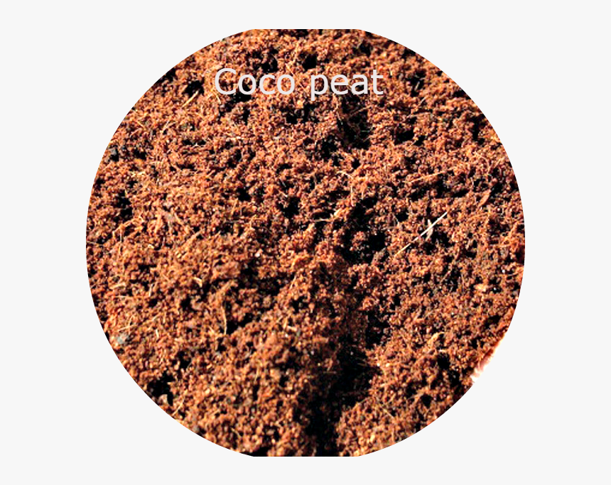 Clip Art Coconut Mulch - Cocopeat, HD Png Download