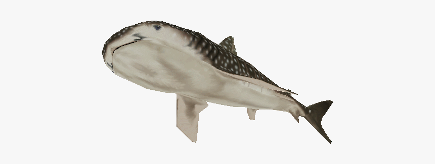 Download Zip Archive - Great White Shark, HD Png Download