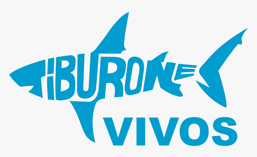 Incopesca Declared The Whale Shark Of Fishing Interest - Tiburones Vivos, HD Png Download