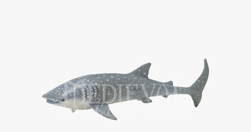 Whale Shark, HD Png Download
